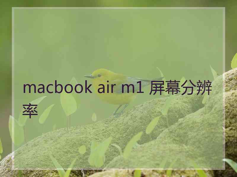macbook air m1 屏幕分辨率