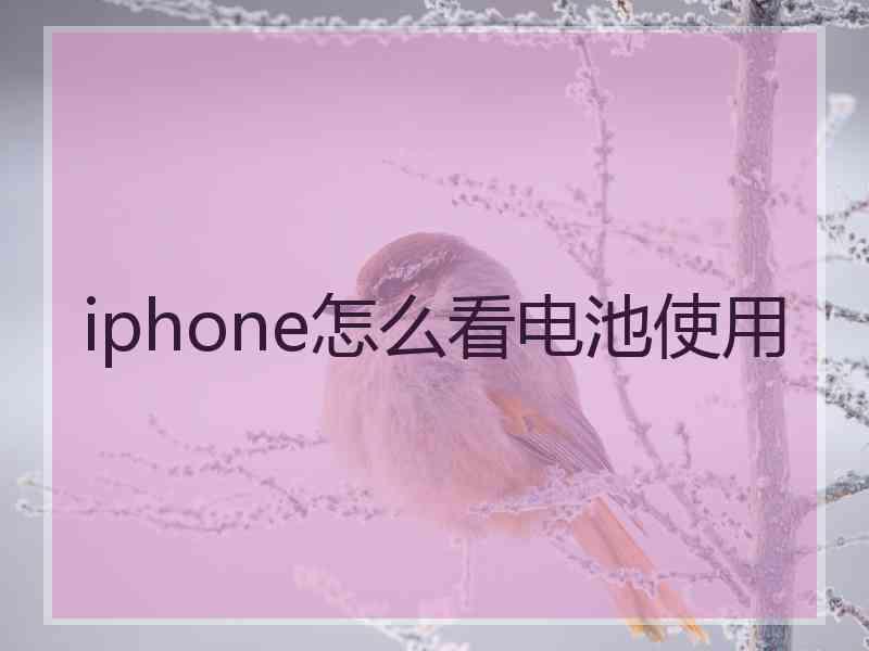 iphone怎么看电池使用