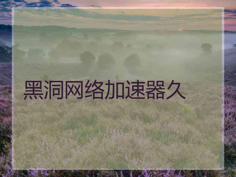 黑洞网络加速器久