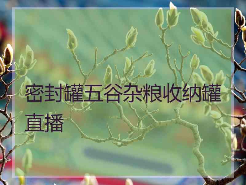 密封罐五谷杂粮收纳罐直播