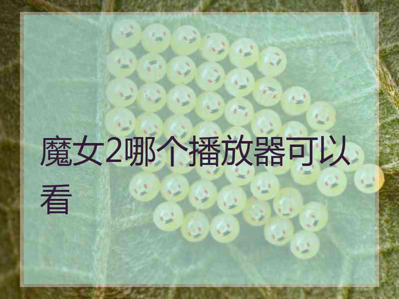 魔女2哪个播放器可以看