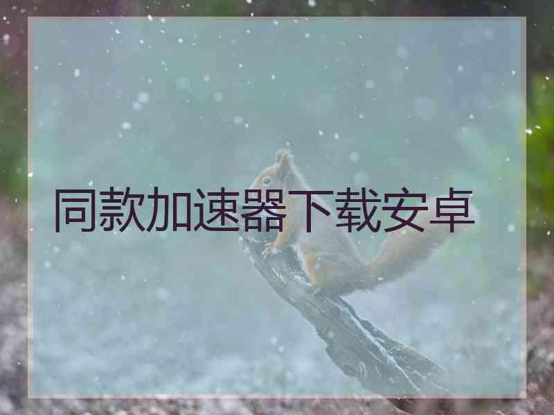同款加速器下载安卓