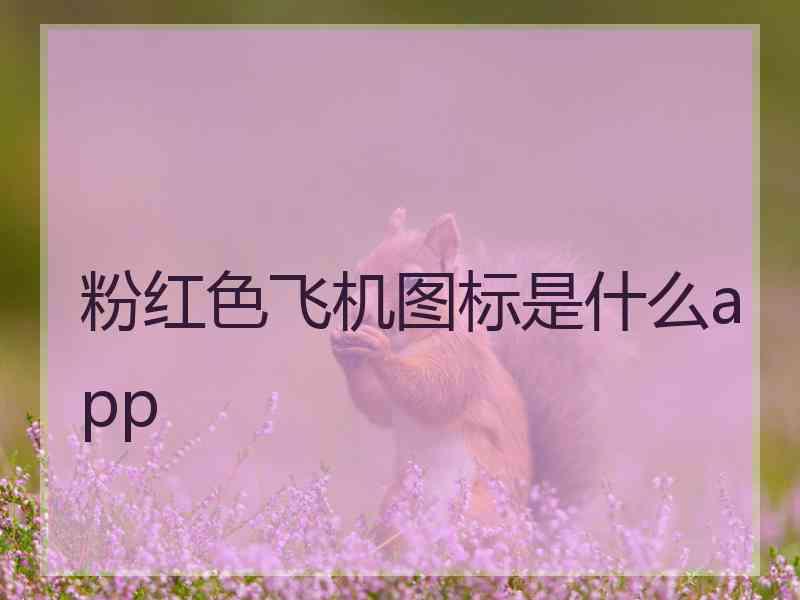 粉红色飞机图标是什么app