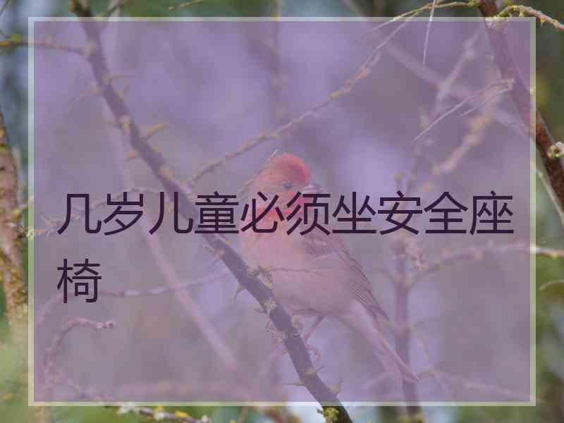 几岁儿童必须坐安全座椅