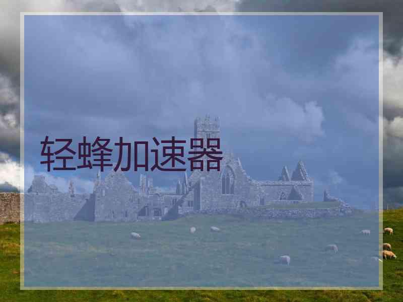 轻蜂加速器