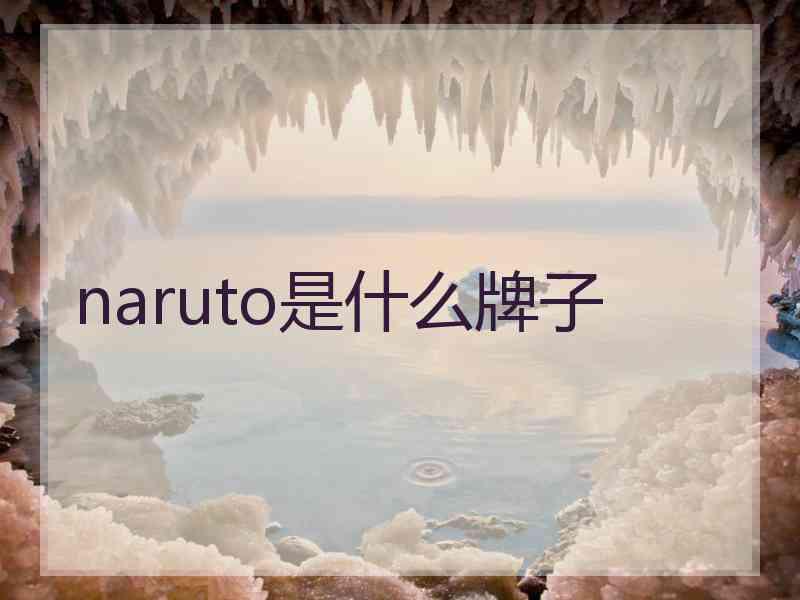 naruto是什么牌子