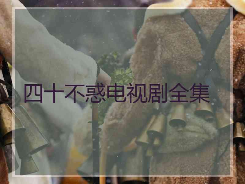 四十不惑电视剧全集