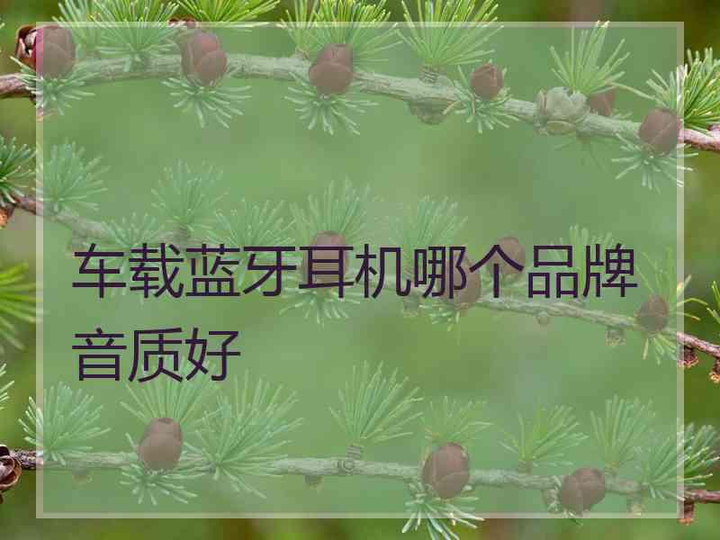 车载蓝牙耳机哪个品牌音质好