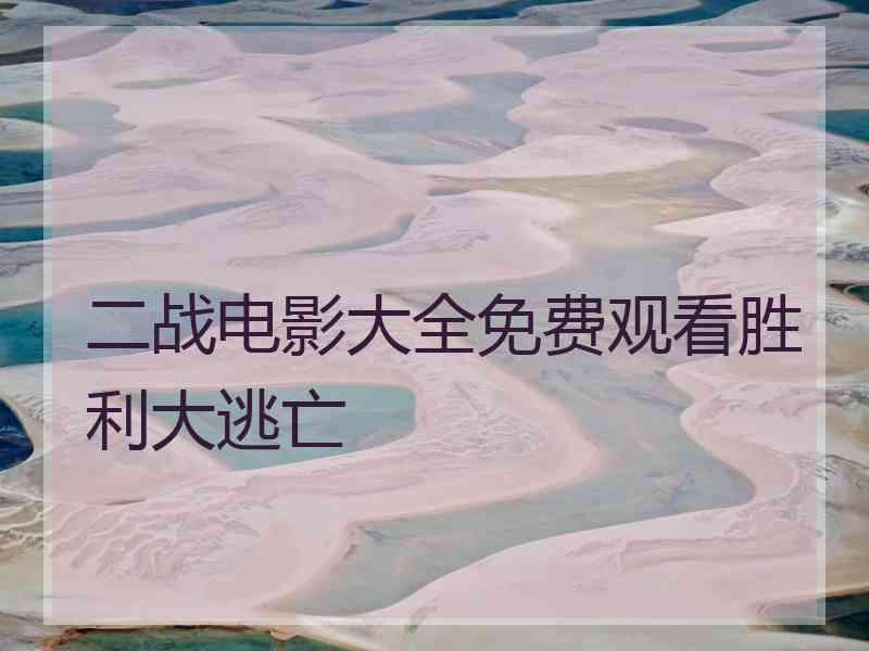 二战电影大全免费观看胜利大逃亡