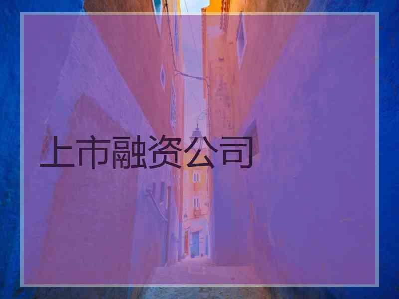 上市融资公司