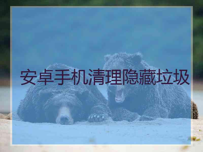 安卓手机清理隐藏垃圾