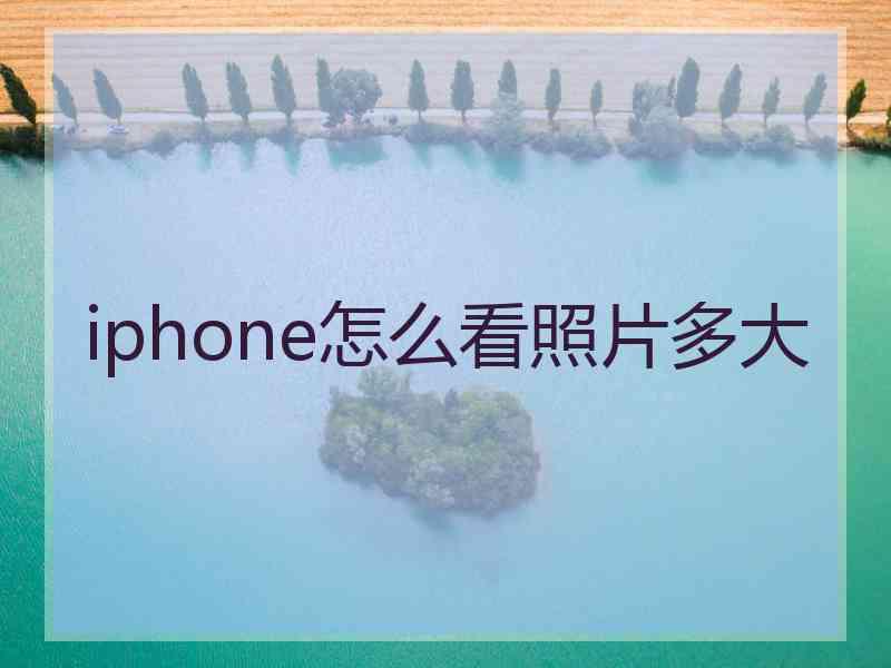 iphone怎么看照片多大