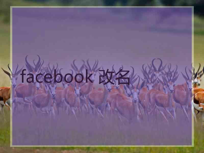 facebook 改名