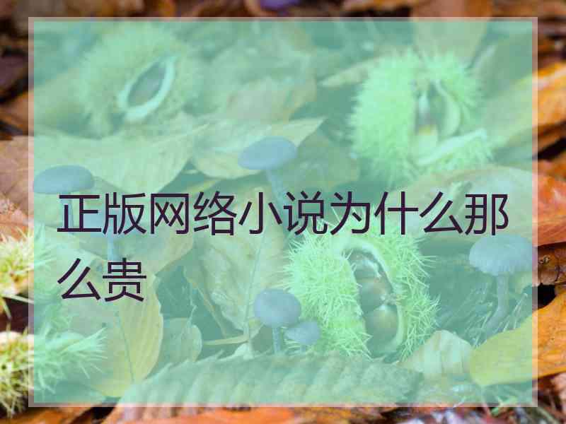 正版网络小说为什么那么贵