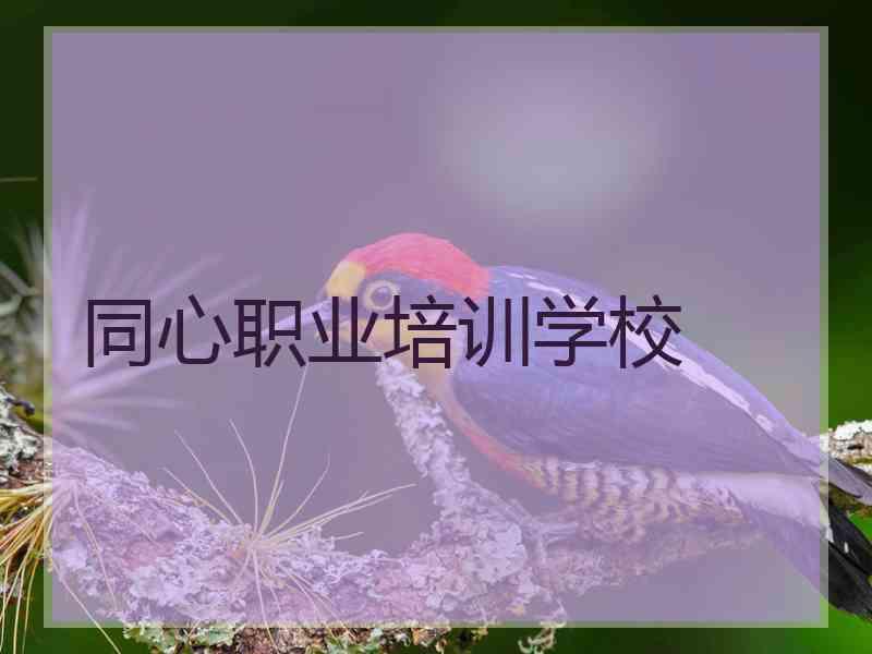 同心职业培训学校