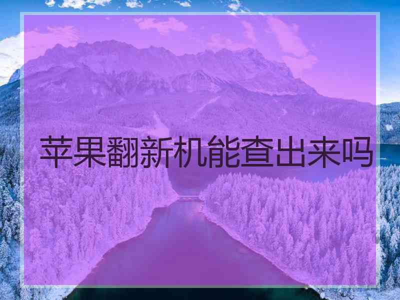 苹果翻新机能查出来吗
