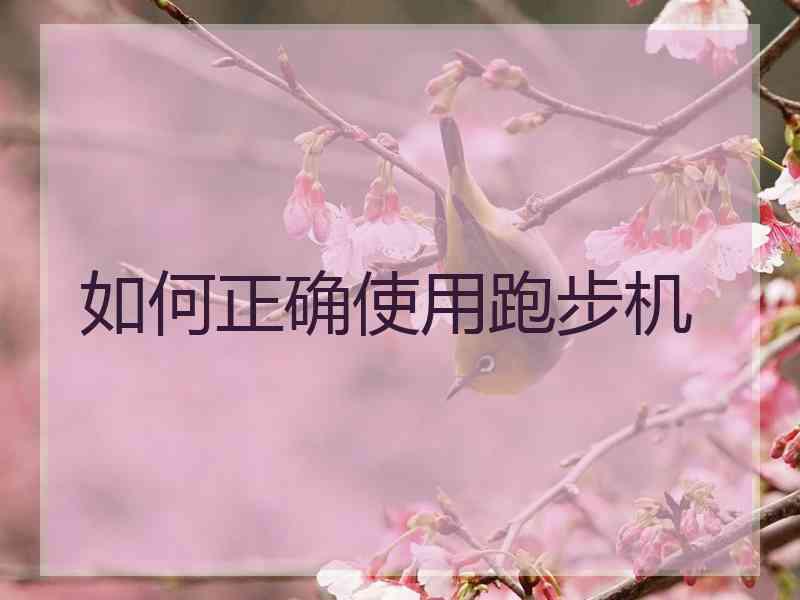 如何正确使用跑步机