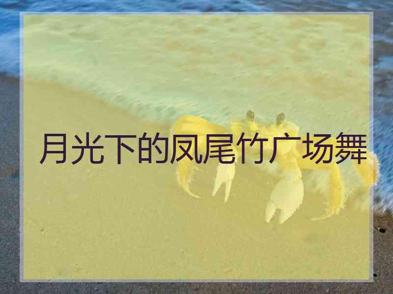 月光下的凤尾竹广场舞