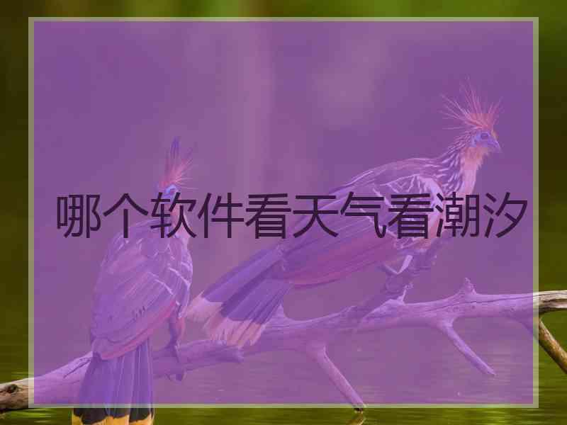 哪个软件看天气看潮汐