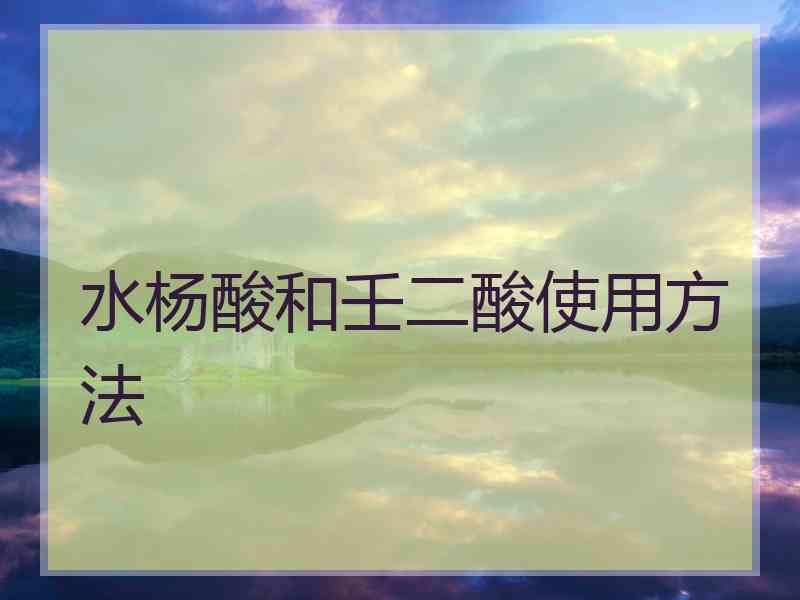 水杨酸和壬二酸使用方法