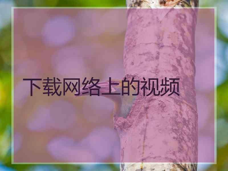 下载网络上的视频