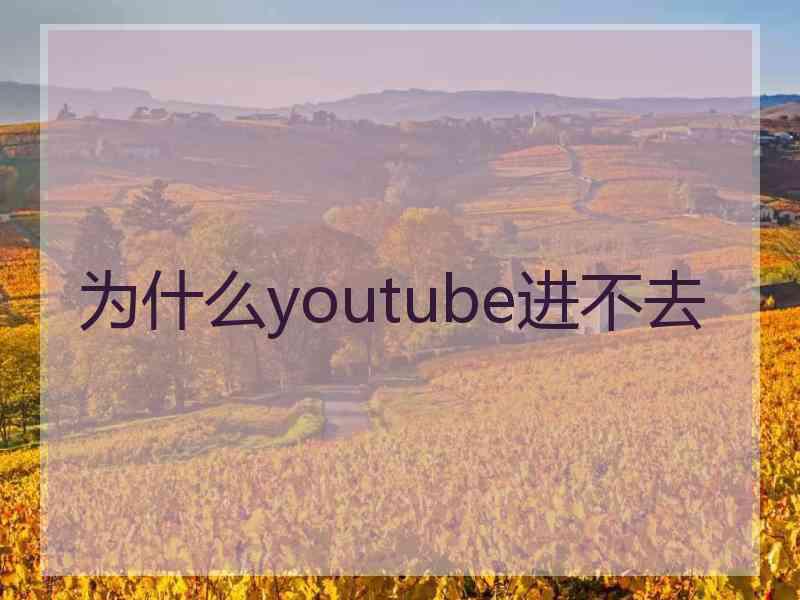 为什么youtube进不去