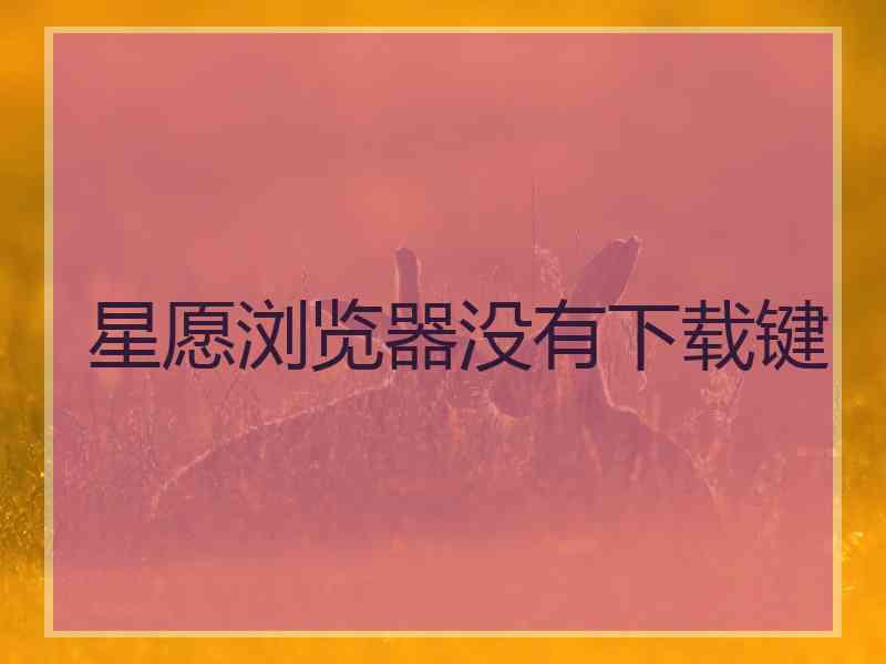 星愿浏览器没有下载键