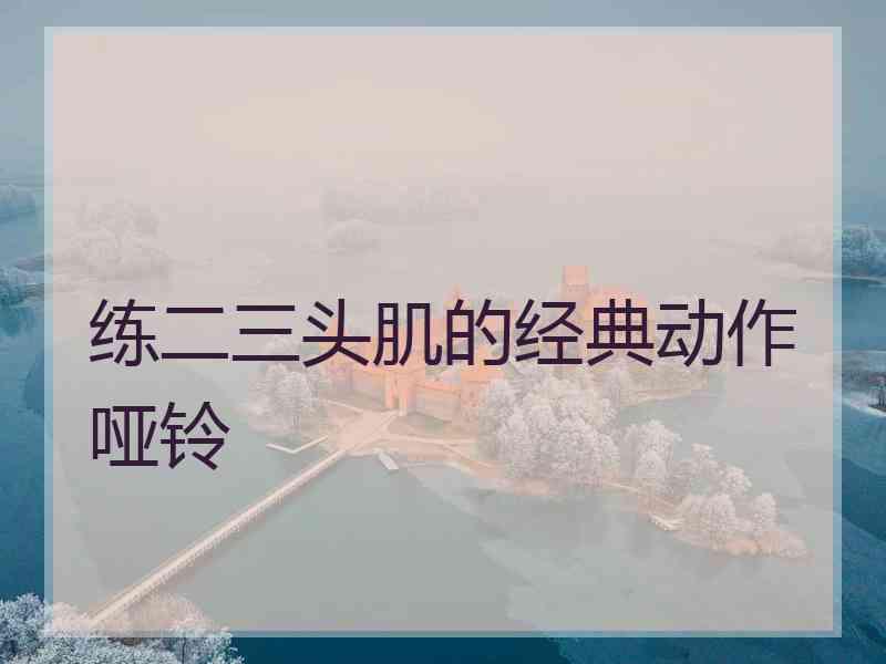 练二三头肌的经典动作哑铃
