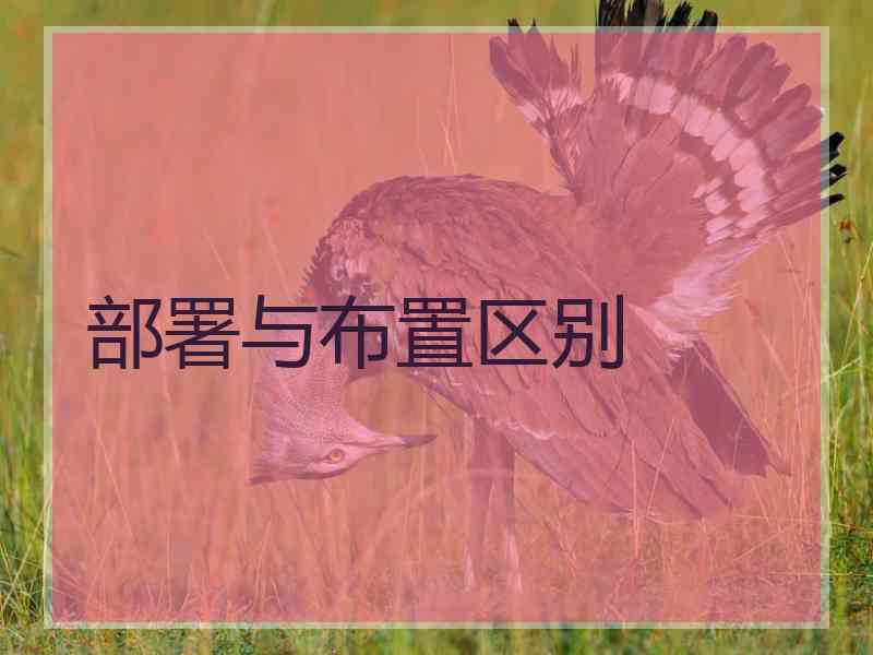 部署与布置区别