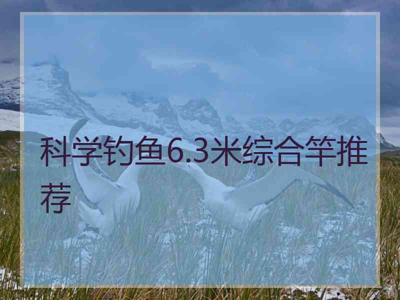 科学钓鱼6.3米综合竿推荐