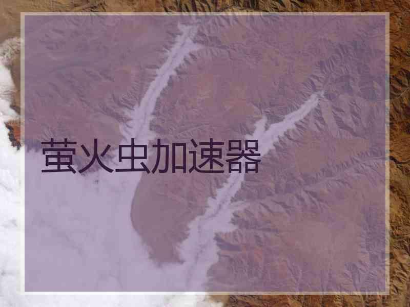 萤火虫加速器