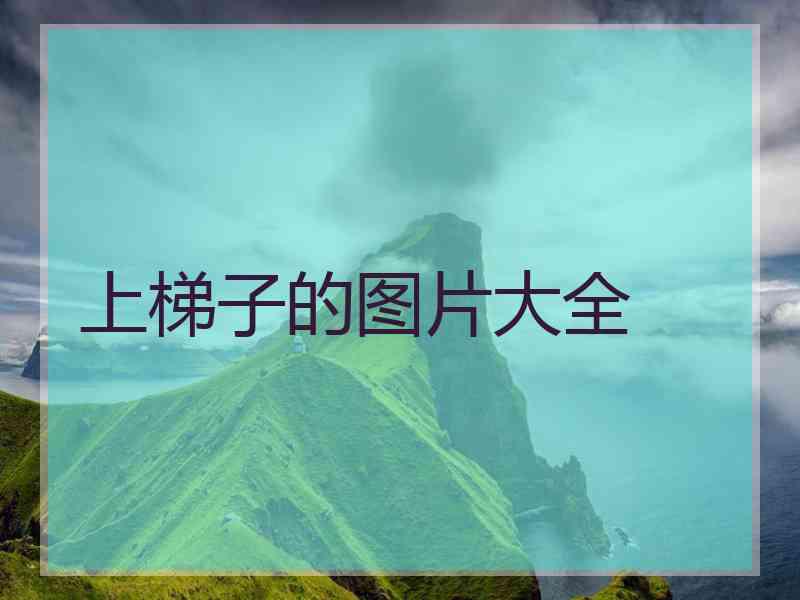 上梯子的图片大全