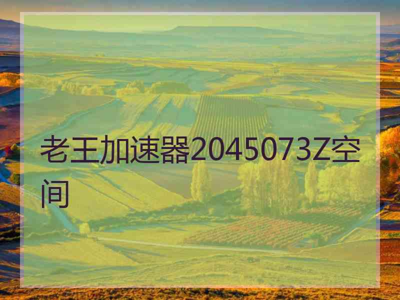 老王加速器2045073Z空间