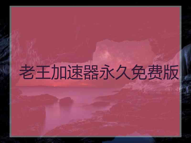 老王加速器永久免费版