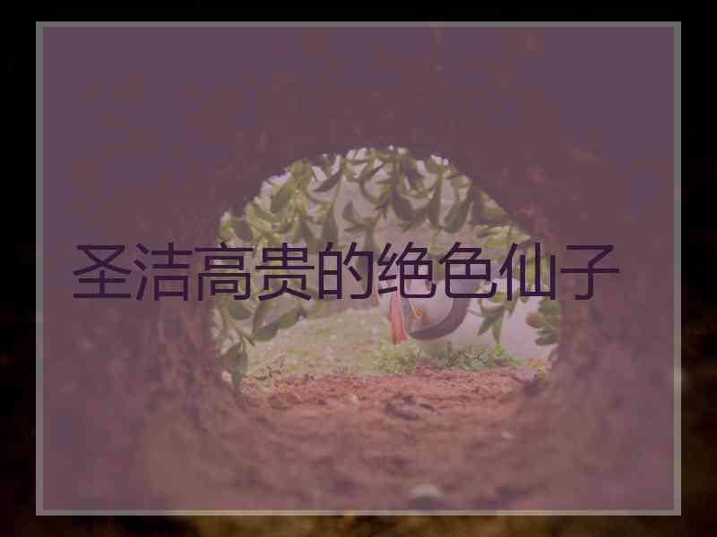 圣洁高贵的绝色仙子