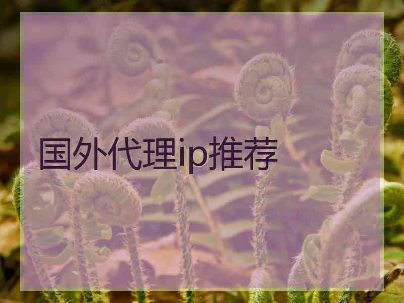 国外代理ip推荐