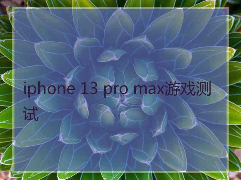 iphone 13 pro max游戏测试
