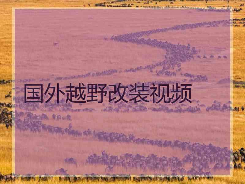 国外越野改装视频