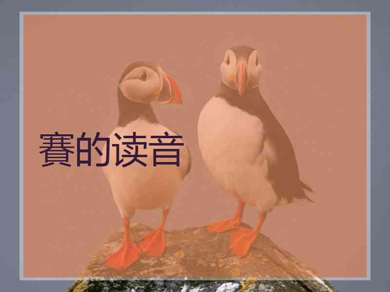賽的读音