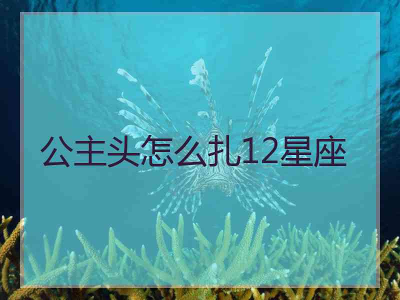 公主头怎么扎12星座