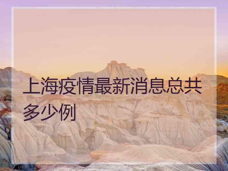 上海疫情最新消息总共多少例