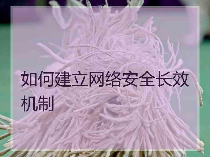 如何建立网络安全长效机制