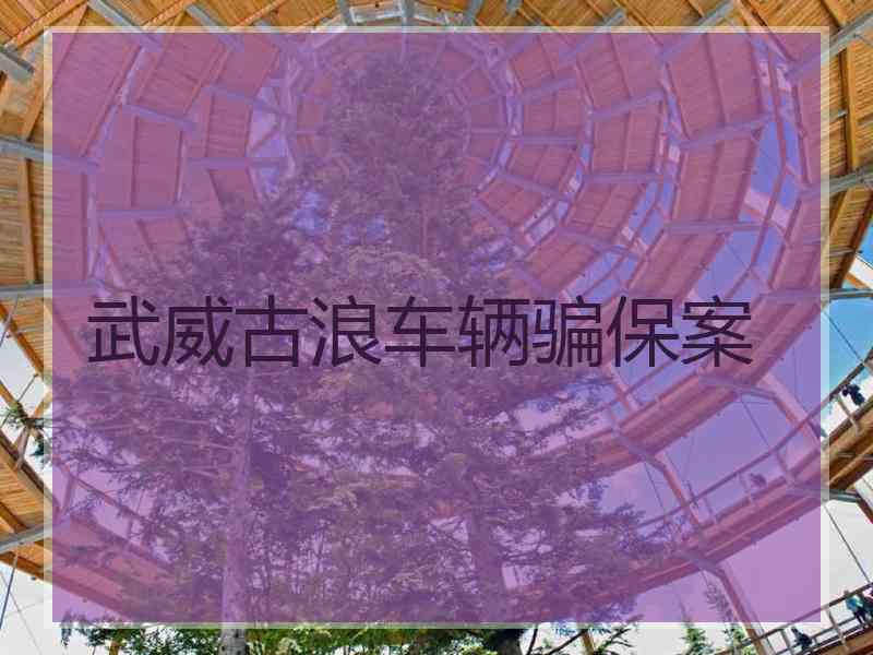 武威古浪车辆骗保案