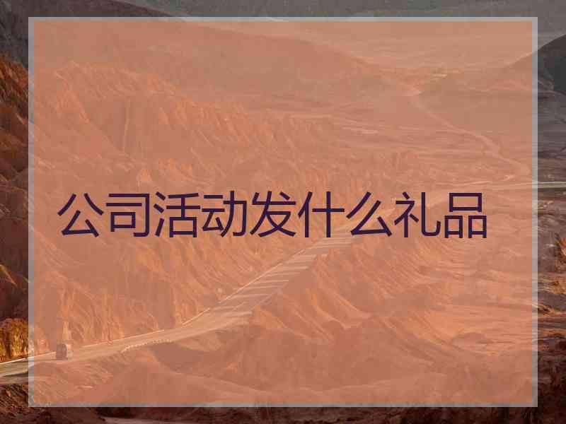 公司活动发什么礼品