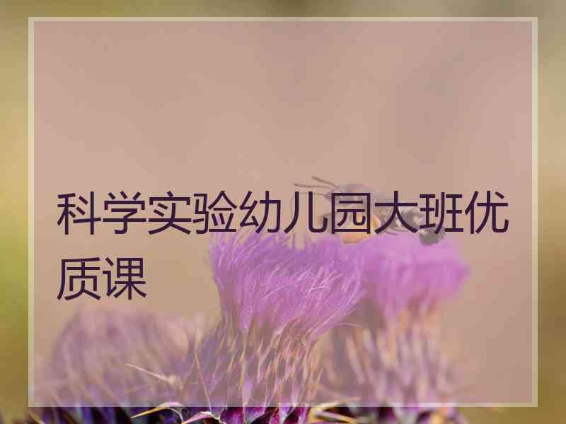 科学实验幼儿园大班优质课