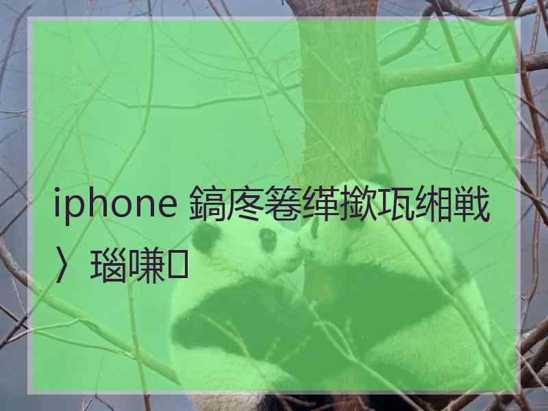 iphone 鎬庝箞缂撳瓨缃戦〉瑙嗛