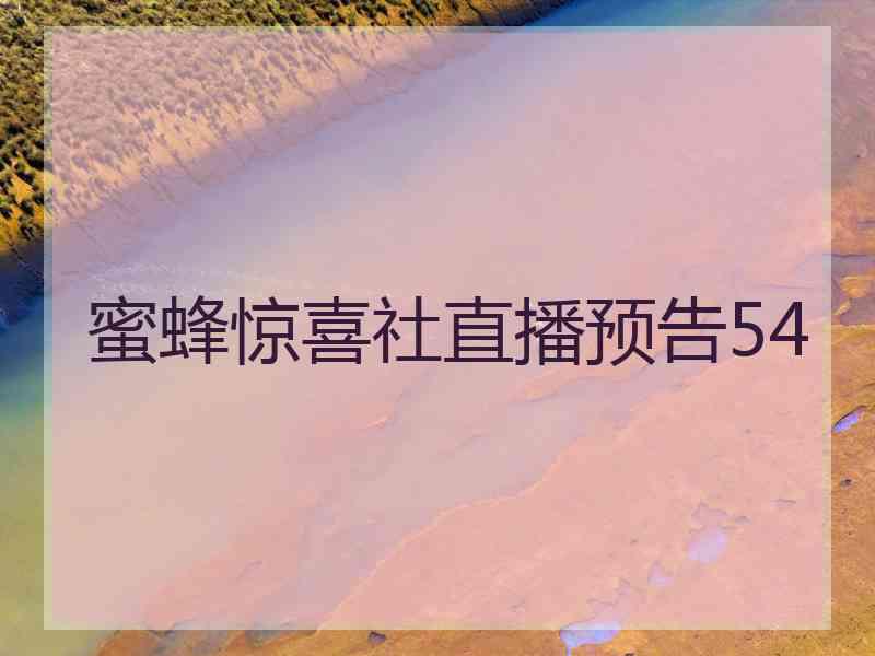 蜜蜂惊喜社直播预告54