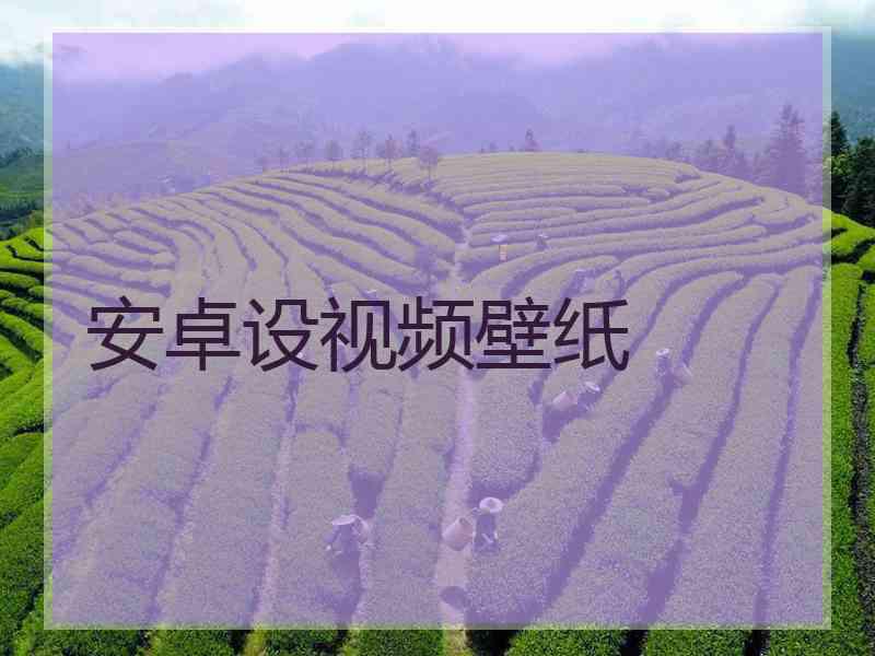 安卓设视频壁纸