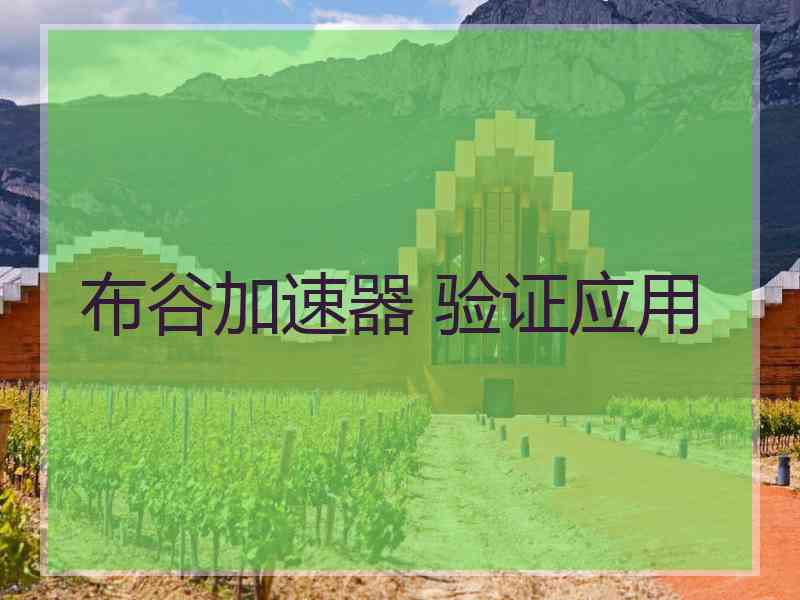 布谷加速器 验证应用