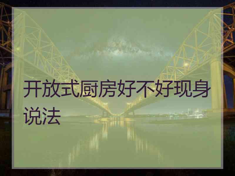 开放式厨房好不好现身说法